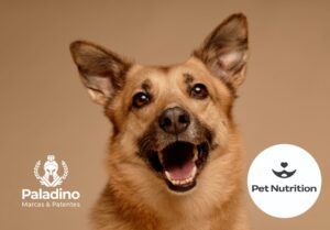 Registro de marca para empresas de alimentação pet